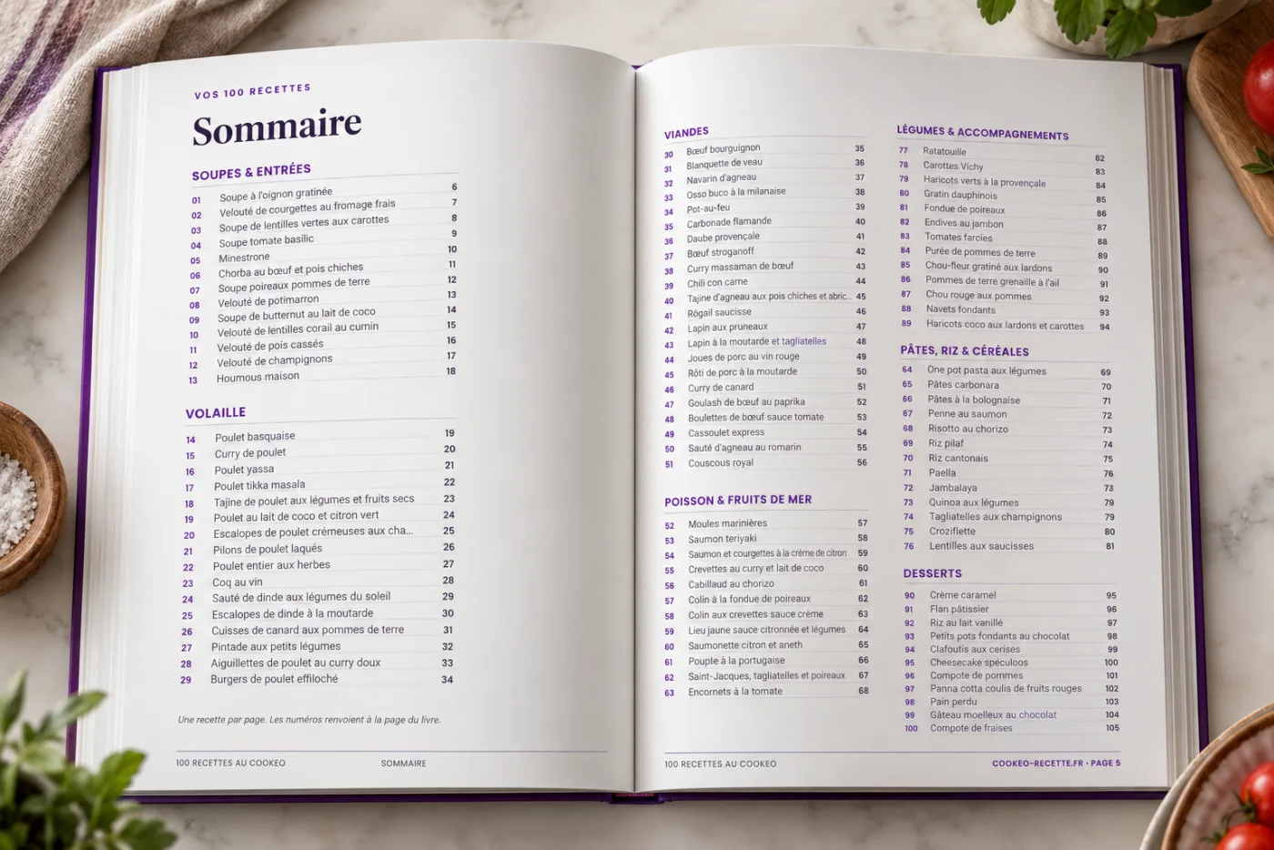 Le sommaire des 100 recettes